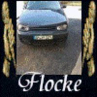 flocke